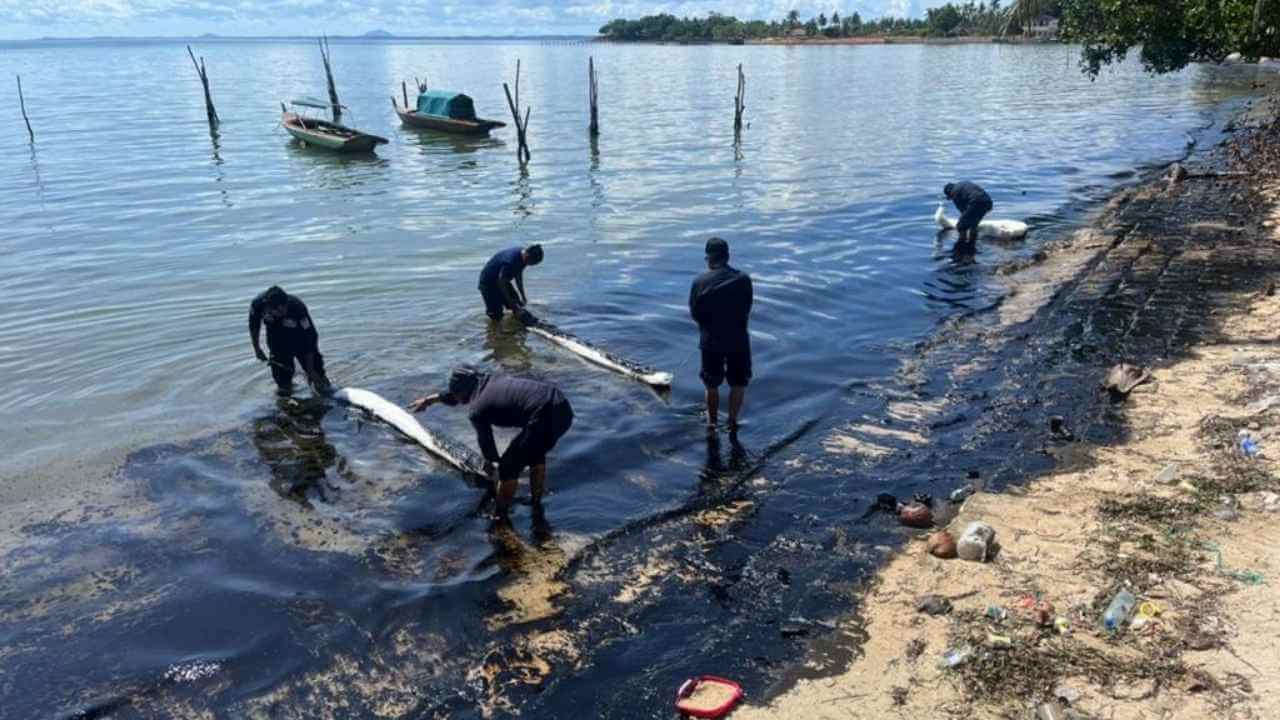 Polisi Selidiki Tumpahan Minyak Hitam Di Perairan Batam