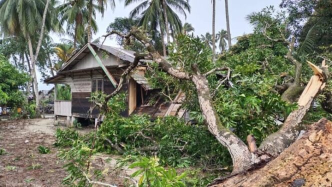
 Rumah di Air Kelubi Lingga Utara tertimpa pohon. Foto: Ist/kepripedia.com