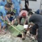 Penyembelihan hewan kurban di Rutan Batam