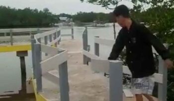 Video viral remaja rusaki pagar pembatas pelantar wisata mangrove Kota Rebah, Tanjungpinang. Foto: tangkapan layar/istimewa