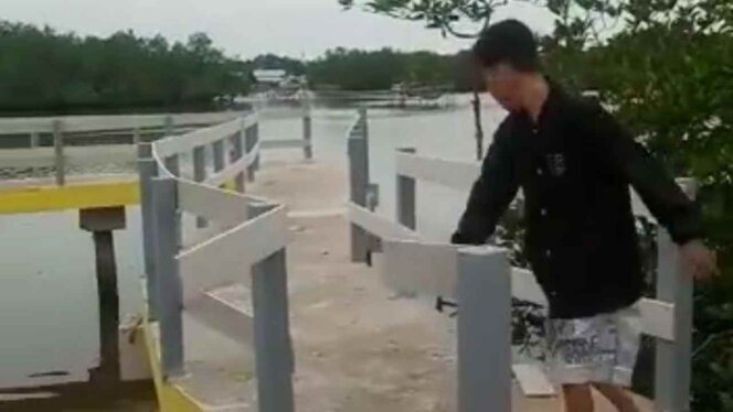 
 Video viral remaja rusaki pagar pembatas pelantar wisata mangrove Kota Rebah, Tanjungpinang. Foto: tangkapan layar/istimewa