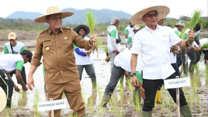 
 Ketum HKTI, KSP Moeldoko, dan Gubernur Kepri, Ansar Ahmad, menanam padi di lahan baru. Foto: Istimewa