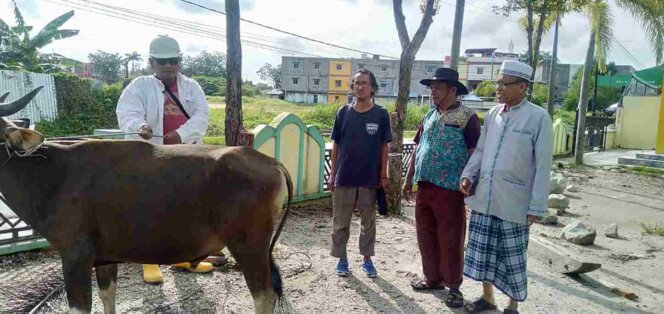 
					Pengurus PWI Karimun menyerahkan sapi kurban kepada pengurus masjid Nurul Huda, Sungai Lakam. Foto: PWI Karimun