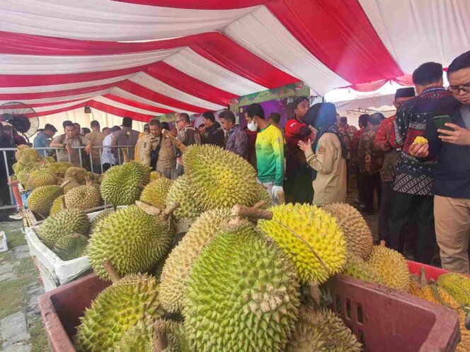 
					Even Pesta Durian 2023 di Costal Area Karimun, Kepulauan Riau. Foto: Khairul S/kepripedia.com
