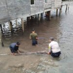 Bhabinkamtibmas Polsek Jemaja, bersama pemerintah desa dan warga, bahu-membahu mengganti tujuh batang tiang kayu pondasi rumah yang telah lapuk dan membahayakan.